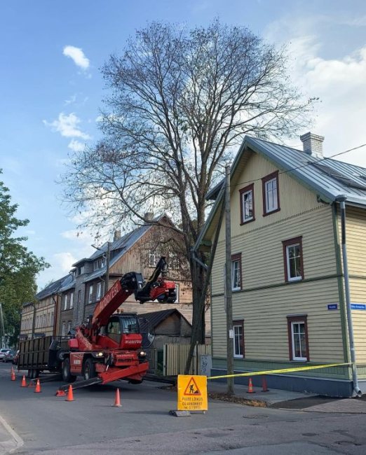 Uue-Maailma jalakasurm