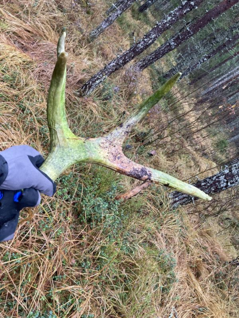 Möödunud hooaja heitsarv