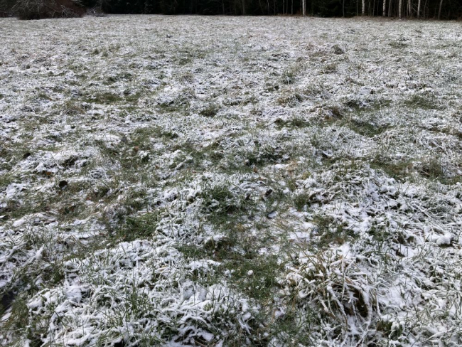 Toitumisjäljed vähese lumega