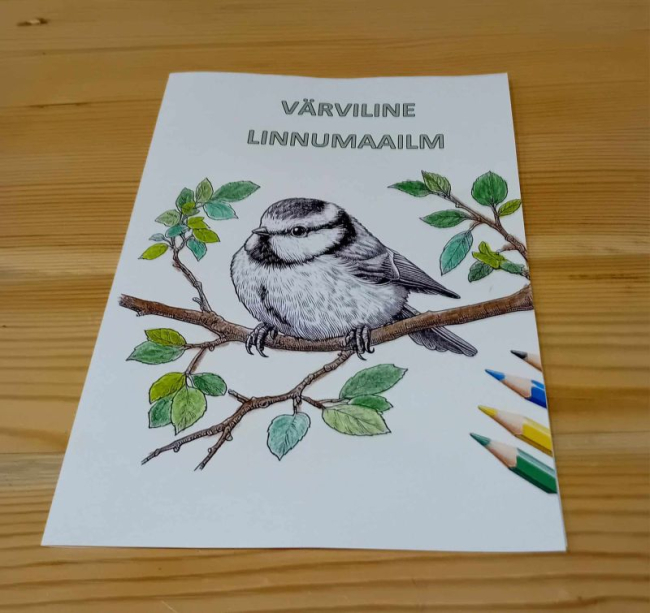 värvimislehtede komplektid