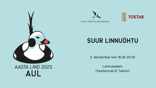 suur linnuõhtu
