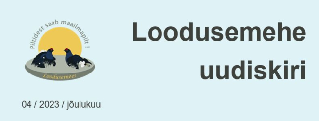 uudiskiri