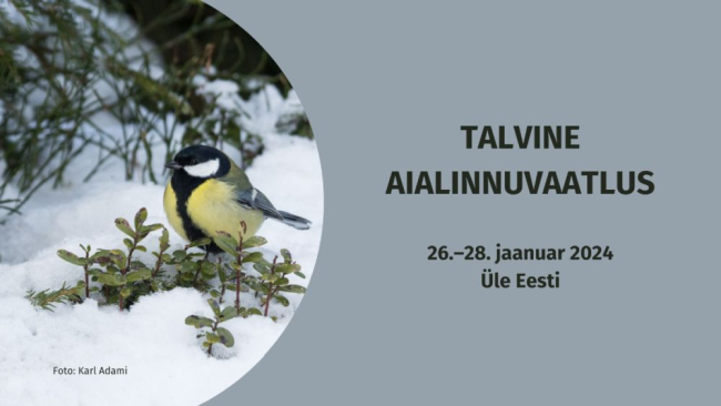 Võta osa talvisest aialinnuvaatlusest