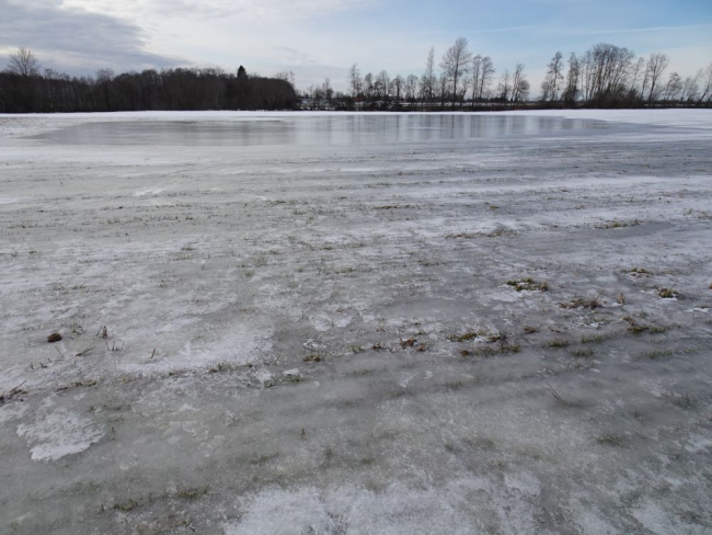 Jäine taliviljapõld esmaspäeval