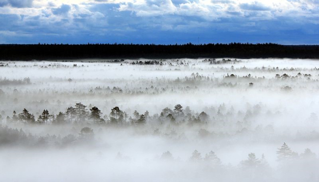 Päikesetõus Paukjärve vaatetornist