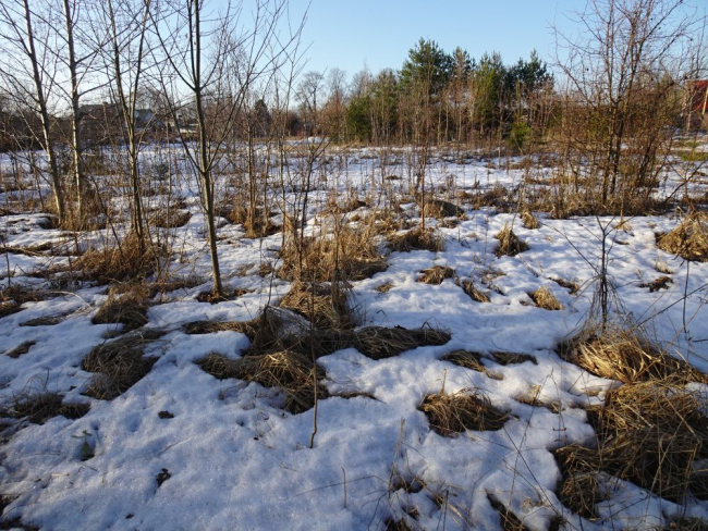 Varjulistes kohtades püsis lumikate nädala lõpuni