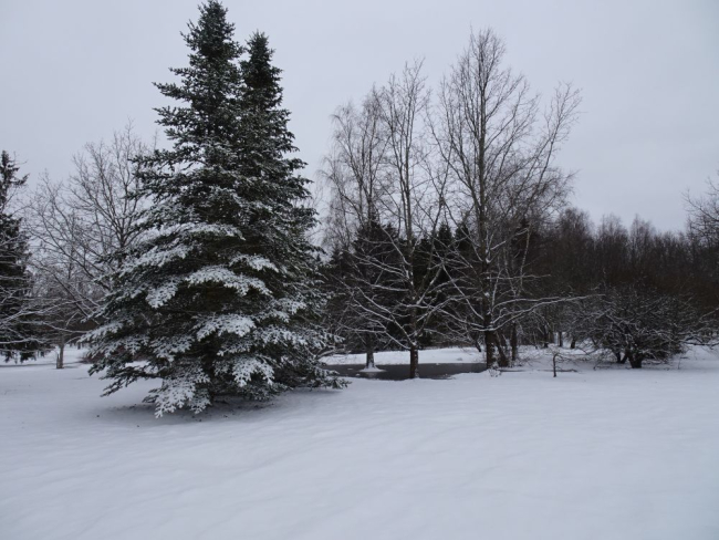 Lumine Piiri park