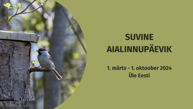 Eesti Ornitoloogiaühing kutsub loodushuvilisi ja aiapidajaid märkama ja avastama elurikkust oma koduaias ning märtsist kuni oktoobri alguseni tehtud vaatlusi aialinnupäevikusse kirja panema.