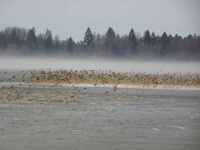 Kuremaa järv oli pühapäeval veel jääga kaetud