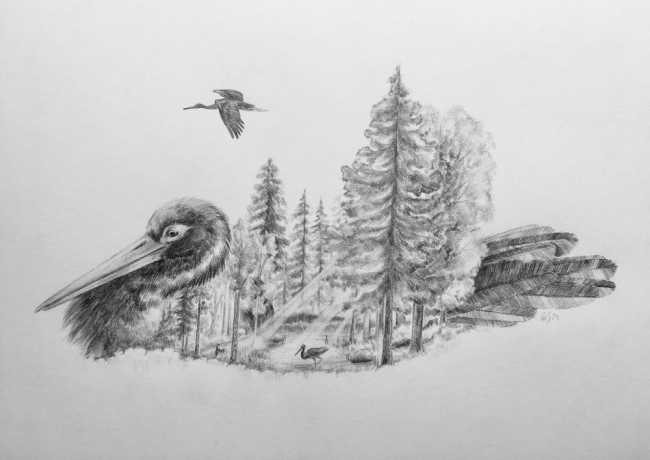 I made this pencil drawing in memory of Karl II, he was such a special bird! I call it "The Forest Remembers"