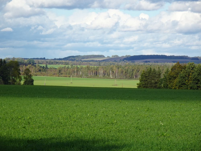 Lehtmetsad on valdavalt veel rohelised