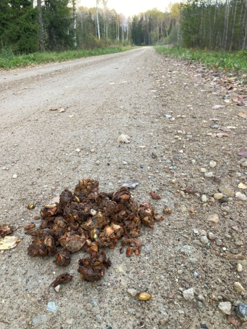 Alutagusel, Peressaare küla kruusatee 3km lõigul oli 52 sarnast hunnikut