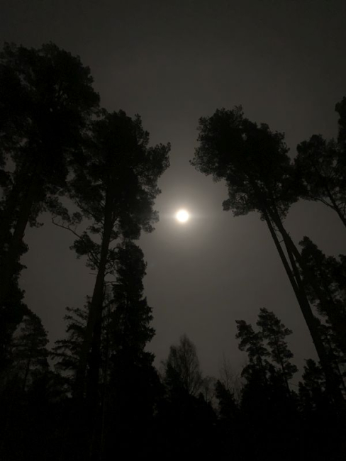 Täiskuu
