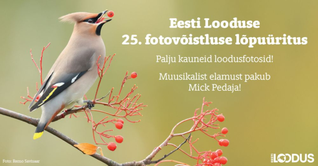 Olete oodatud Eesti Looduse 25. fotovõistluse lõpuõhtule kolmapäeval, 6. novembril kell 15 Tartu loodusmajas Lille 10.