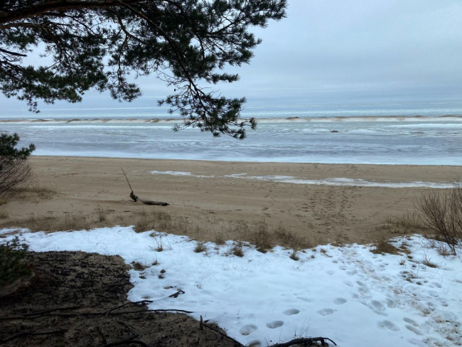 Peipsi kaldajää