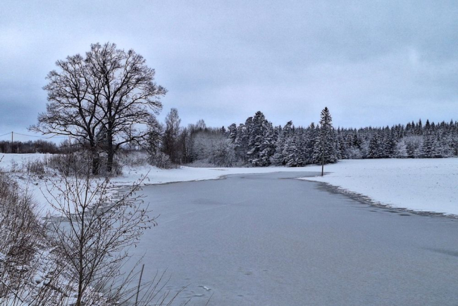 Lääne-Virumaa, Vinni vald ja Anguse jõgi eile