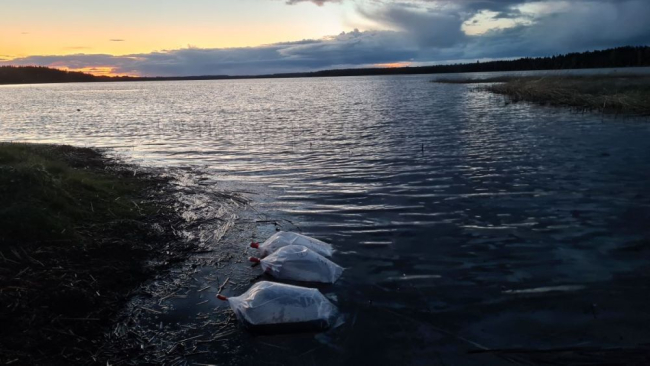 Kaiavere ja Saadjärve kogused ühtlustuvad
