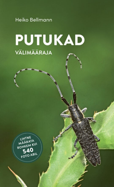 Steinbachi välimääraja. Putukad