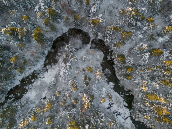 Odalätsi allikad samanimelisel maastikukaitsealal