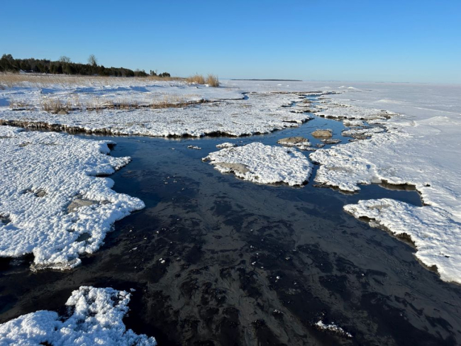 Foto: Aare Martinson