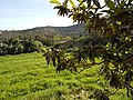 Béjaïa City 17.jpg