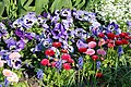 Flowers on Potsdam street 5 (April, 2018).jpg