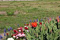 Flowers on Potsdam street 3 (April, 2018).jpg