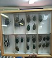 Institut International pour l'Agriculture Tropicale (IITA) 04.jpg