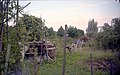 Autumn (8469559973).jpg
