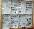 Institut International pour l'Agriculture Tropicale (IITA) 06.jpg