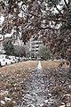 Autumn (51322858).jpeg