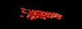 File:4Pi-RESOLFT-nanoscopy-ncomms10504-s2.ogv