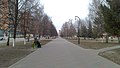 Бульвар Мира (5).jpg