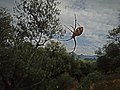 Béjaïa City 03.jpg