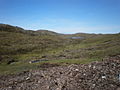 Lochan na Stairne and Water Vole Colony - geograph.org.uk - 1368896.jpg