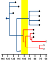 Eutherian fossil record 01.png