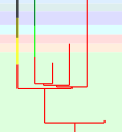 Amniota tree para BC.svg