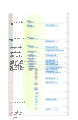 Humana evulution line.svg