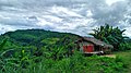 Ratul 01988251178 Mobile Paharer Rup.jpg