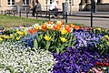 Flowers on Potsdam street 2 (April, 2018).jpg