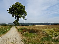 Vaudringhem sur le GR 121B (2).JPG
