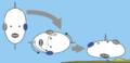 AxialTwistScenario.png