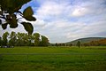 Autumn Landscape (125531003).jpeg