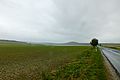 High groundwater on the Veszprém Plateau 03.JPG