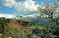 Béjaïa City 31.jpg
