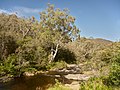 Jounama Creek, near Talbingo NSW.jpg