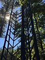 Garden Sculpture in the Muriel Ford Hand Memorial Garden.jpg