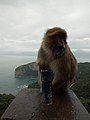Béjaïa City 11.jpg