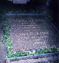 Carl von Linné grave 2007 Upsala.jpg