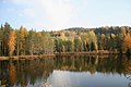 Autumn Pond (127907877).jpeg